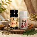 Pylixa-Z & Gut-Guard Ayurvedic Wellness Combo – Support Pack